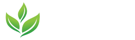 Agropensiunea Salcia